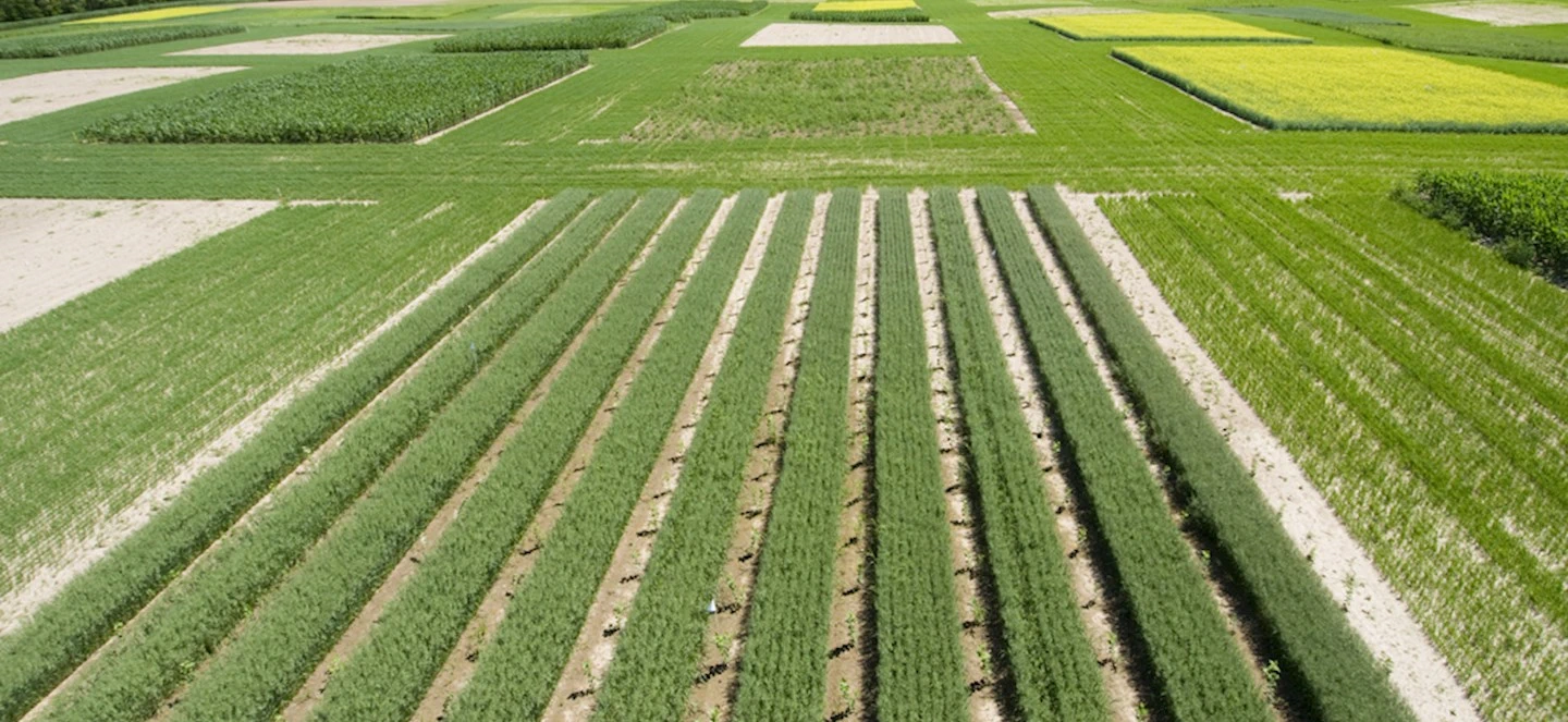 An aerial view of a field